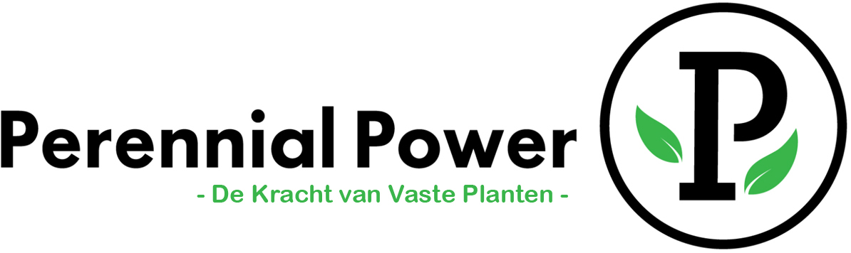 Perennial Power Logo